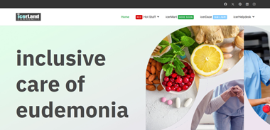 biz-platform-icerland.com